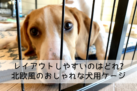 レイアウトしやすいのはどれ? 北欧風のおしゃれな犬用ケージ