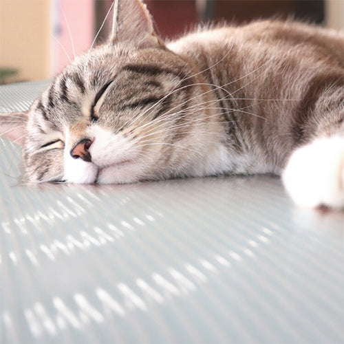 冷感 ひんやり クールマット ペット 洗える 接触冷感 抗菌 防臭機能付き 冷感マット 90cm×180cm 驚異のQmax値 0.98 超低ホル ラグ 涼感マット 涼感寝具 暑(代引不可)