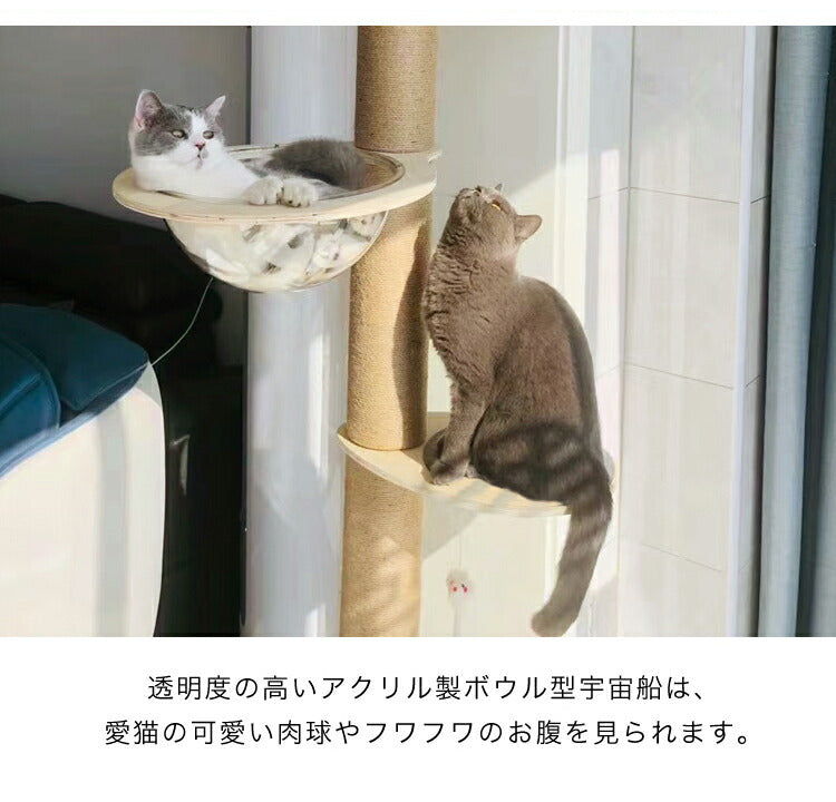 クリアボウル キャットツリー用 追加パーツ 単品 30cm クリア スケルトン 透明 北欧 ラウンドベッド ベッド クリアボウルベッド スケルトンラウンドベッド 宇宙船 ハンモック キャットタワー用 キャットツリー キャットタワー 猫ベッド