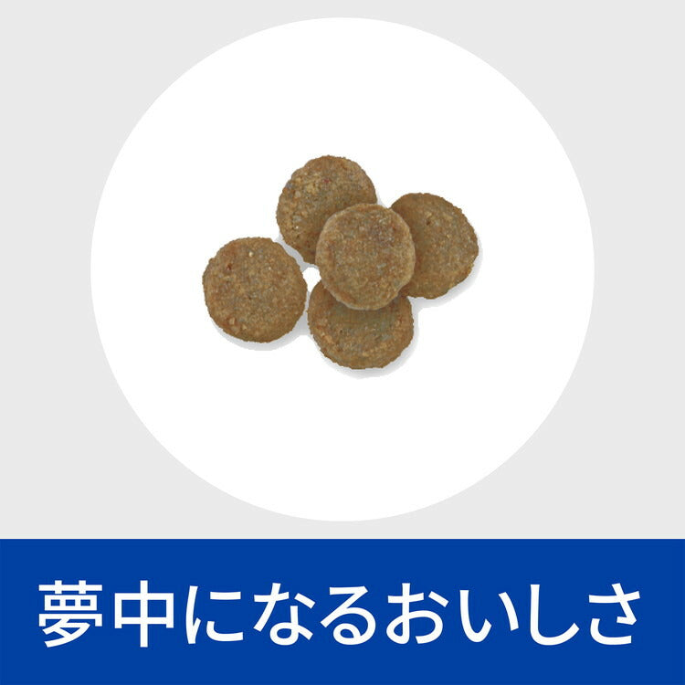 ヒルズ 療法食 犬 犬用 z/d小粒 プレーン 1kg プリスクリプション 食事療法食 サイエンスダイエット