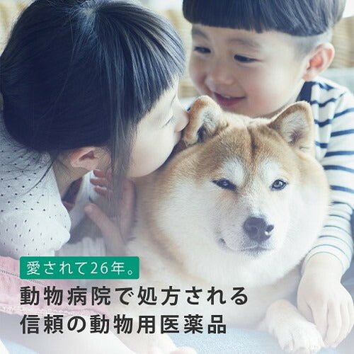 【動物用医薬品】 【2個セット】 フロントライン 犬用 L 20~40kg未満 6本入 ノミ 蚤 ダニ ハジラミ 駆除剤 駆除液 動物用 ペット用 医薬品 中型犬 大型犬 フロントラインプラスドッグ(代引不可)【メール便配送】