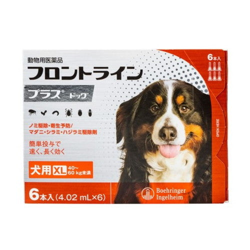 【動物用医薬品】 フロントライン 犬用 XL 40~60kg未満 6本入 ノミ 蚤 ダニ ハジラミ 駆除剤 駆除液 動物用 ペット用 医薬品 中型犬 大型犬 フロントラインプラスドッグ(代引不可)【メール便配送】