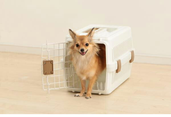 犬 キャリー コンテナ ハード エアトラベルキャリー ATC-460 ペットキャリー 持ち運び 犬用 いぬ用 防災 避難 お出かけ 旅行 通院 介護 アイリスオーヤマ