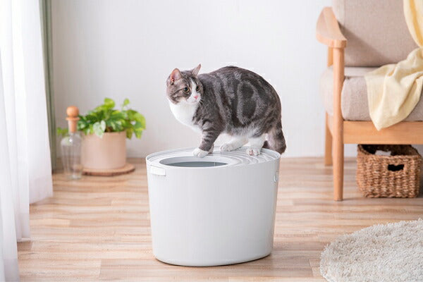 猫 トイレ ボックス型 蓋付 上から猫トイレ プチ PUNT-430 ネコトイレ 箱型 掃除しやすい 散らからない 猫砂 ねこすな アイリスオーヤマ