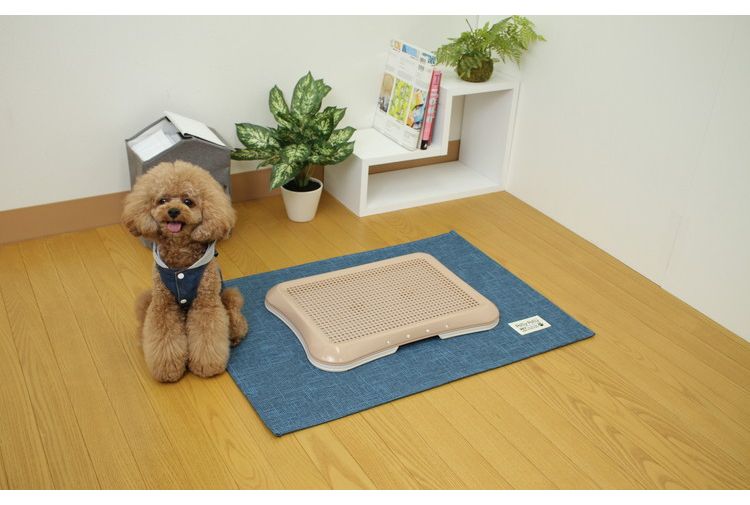 トイレの下に敷くマット ブルー 犬用 トイレ 犬 ドッグ ドック ペット サンベルム
