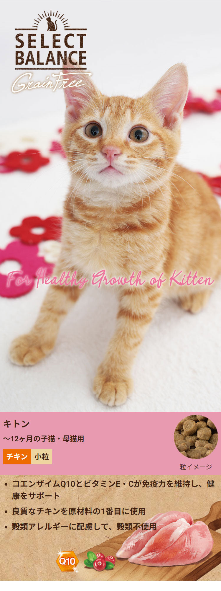 セレクトバランス グレインフリー 猫 キトン チキン 1.6kg SELECT BALANCE ドライフード ドライ キャットフード 主食