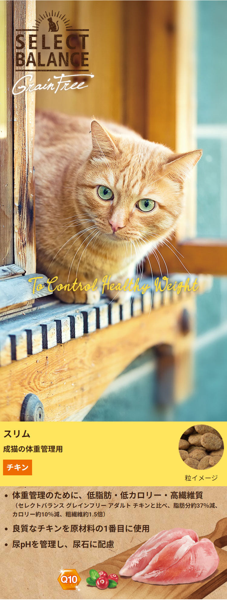 セレクトバランス グレインフリー 猫 スリム チキン 1.6kg SELECT BALANCE ドライフード ドライ キャットフード 主食