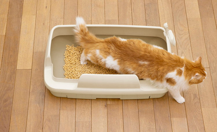 エステー ニャンとも清潔トイレ のびのびリラックス ライトベージュ 猫トイレ 猫用トイレ システムトイレ 猫用システムトイレ ニャンとも にゃんとも