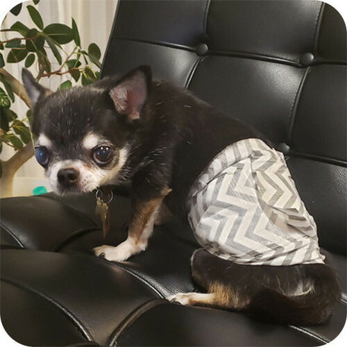 M-PETS エムペッツ 男の子用オムツ XL 紙おむつ ペット用 超吸収 パンツ マナーパンツ おす オス ペット用おむつ 介護 老犬 しつけ