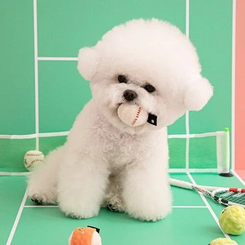 BITE ME バイトミー ミニスポーツ ボールおもちゃセット(3個入り) ドッグトイ 小型犬