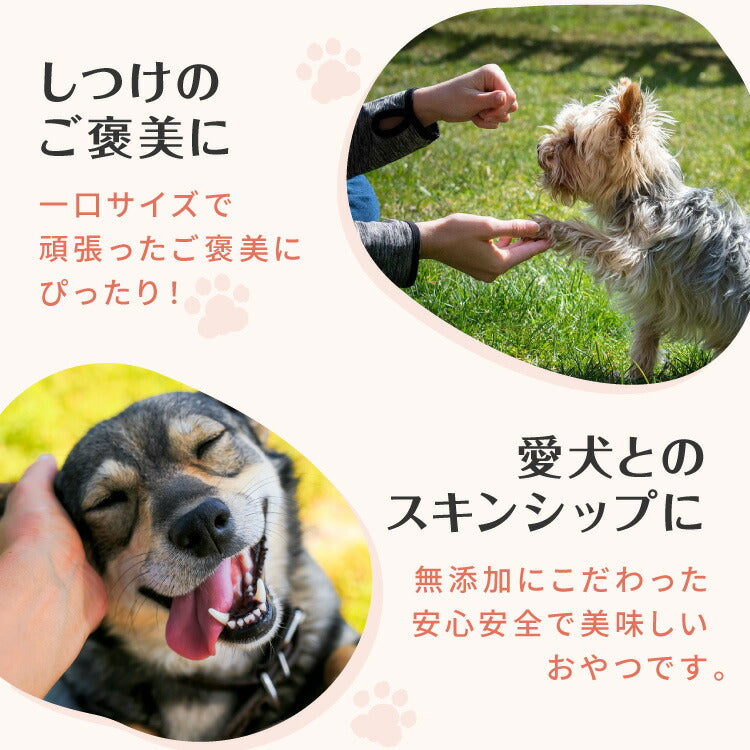 【10個セット】 犬用 おやつ 食べ切りサイズ 無添加 お肉 お魚 日本製 国産 犬用おやつ ご飯 ご褒美 トリーツ トッピング 素材系 肉 魚 mimipets オリジナル 犬 小型犬 室内犬
