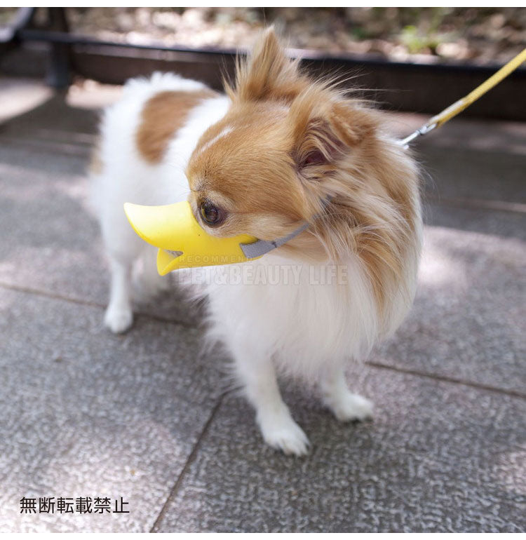 OPPO オッポ quack S クァック 噛付き防止 噛みつき防止 拾い食い防止 シリコン 口輪 しつけ用 犬用 いぬ用