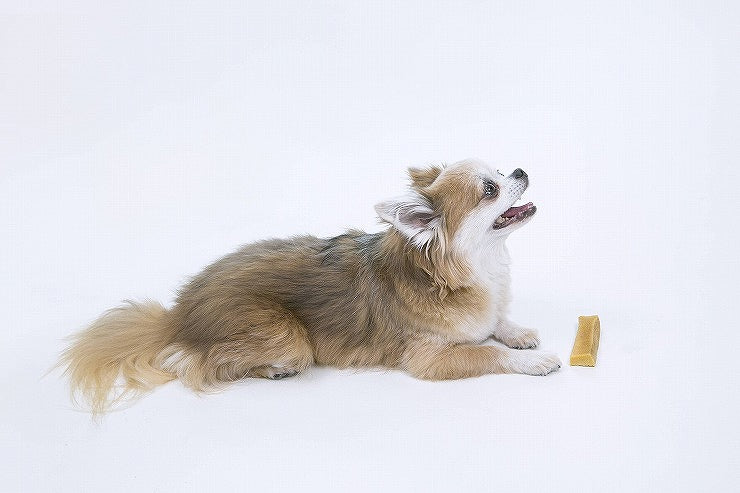 ペットプロ HappyDays 大地からの贈り物 ヤクミルクチーズ S 3本入り 犬用 犬 おやつ スナック チーズ ヤクミルク