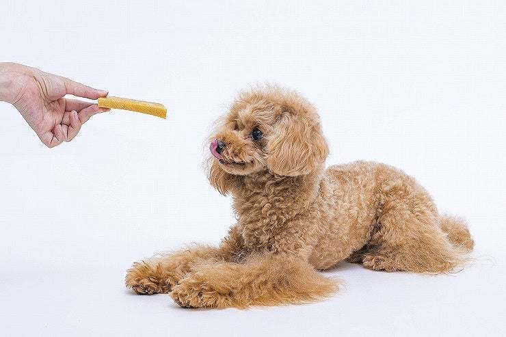 ペットプロ HappyDays 大地からの贈り物 ヤクミルクチーズ S 3本入り 犬用 犬 おやつ スナック チーズ ヤクミルク