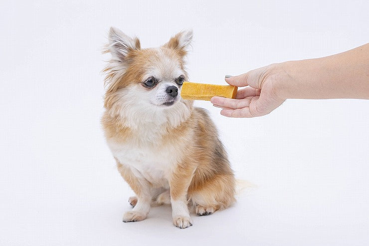 ペットプロ HappyDays 大地からの贈り物 ヤクミルクチーズ S 3本入り 犬用 犬 おやつ スナック チーズ ヤクミルク