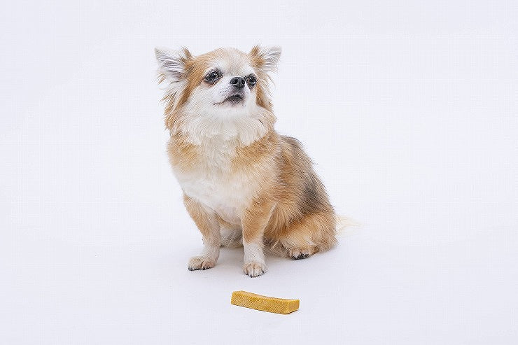 ペットプロ HappyDays 大地からの贈り物 ヤクミルクチーズ S 3本入り 犬用 犬 おやつ スナック チーズ ヤクミルク