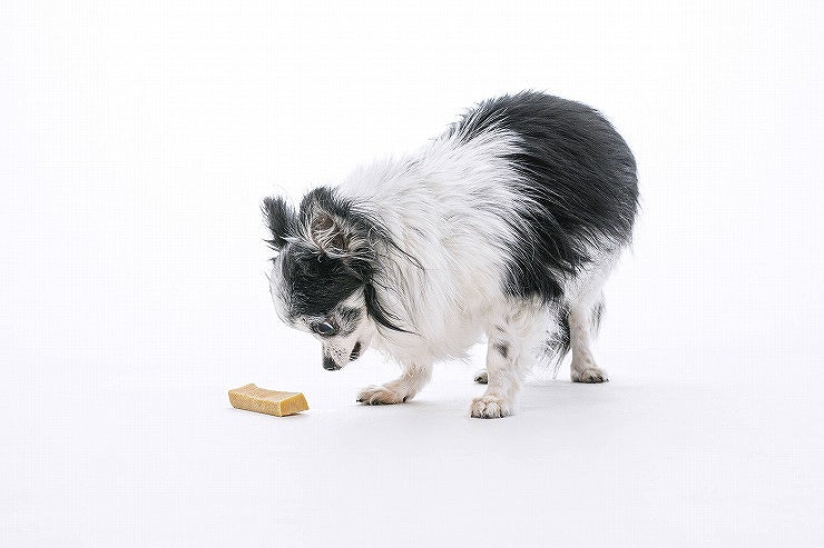 ペットプロ HappyDays 大地からの贈り物 ヤクミルクチーズ S 3本入り 犬用 犬 おやつ スナック チーズ ヤクミルク