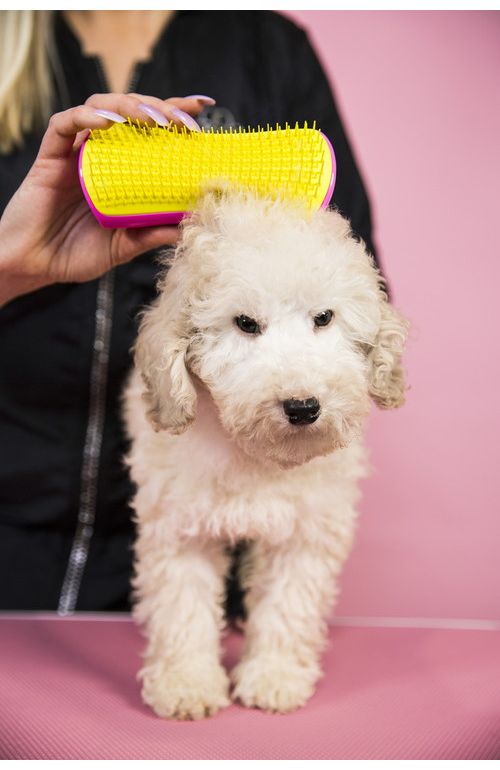 ダイワ商事 PET TEEZER ソフト ハッピーピンク