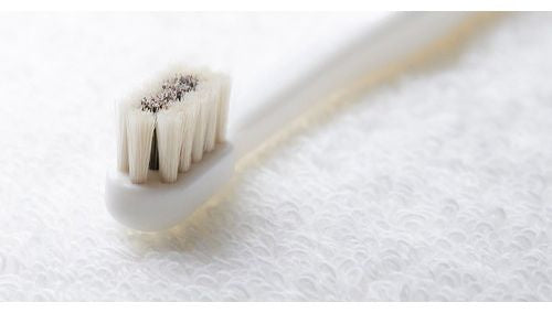 多葉刷子工業所 ミガケンデ 柔確植毛 ヤギ&ウマ 1本