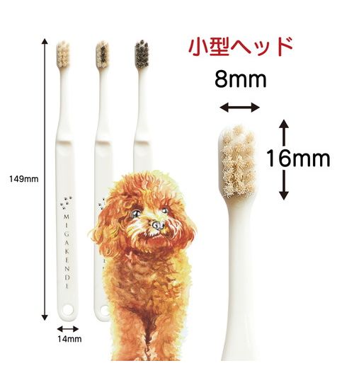 多葉刷子工業所 ミガケンデ 柔確植毛 ヤギ&ウマ 1本