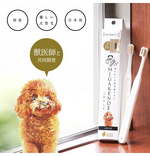 多葉刷子工業所 ミガケンデ 柔確植毛 ヤギ&ウマ 1本