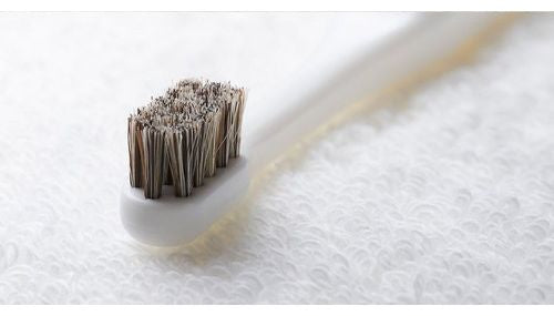 多葉刷子工業所 ミガケンデ 確かな心地植毛 ウマ 1本