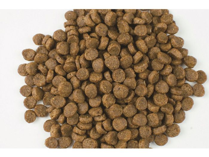 森乳サンワールド Supergold チキンプラス成犬用 800g