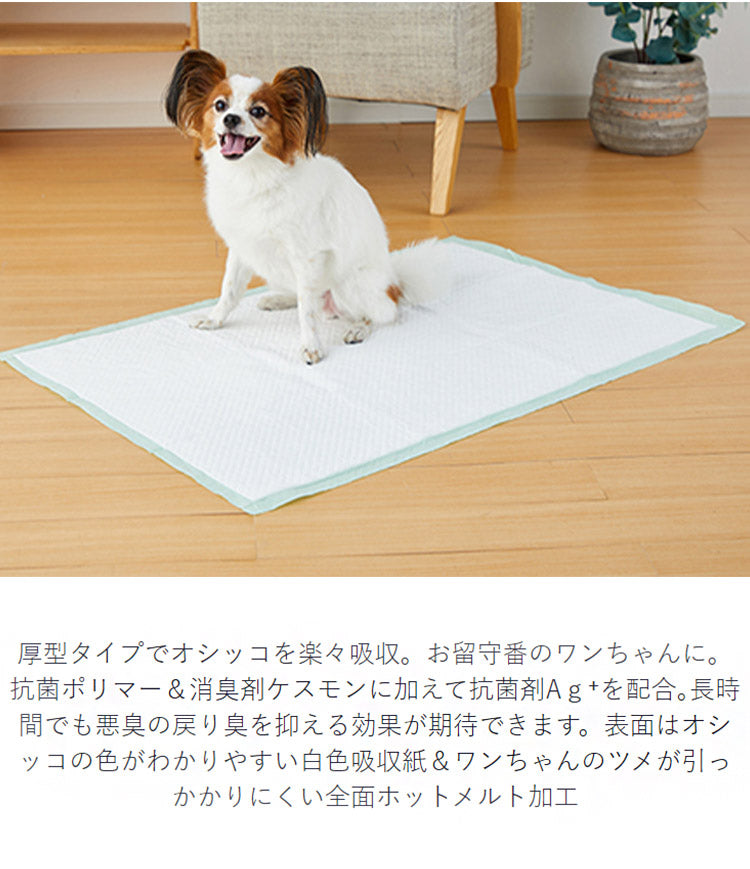 【4個セット】 ボンビアルコン しつけるシーツ W消臭 neo スーパーワイド 15枚 x4 60枚 ペットシーツ ペットシート トイレシーツ トイレシート 犬用 ペット用 使い捨て スーパーワイドサイズ