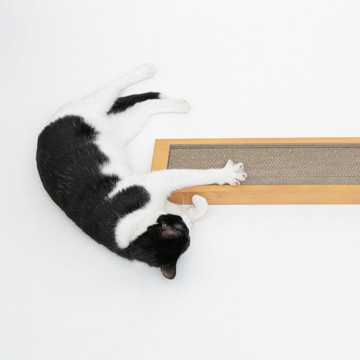 ペットプロ HappyDays ゴミが出にくいつめとぎ シングル