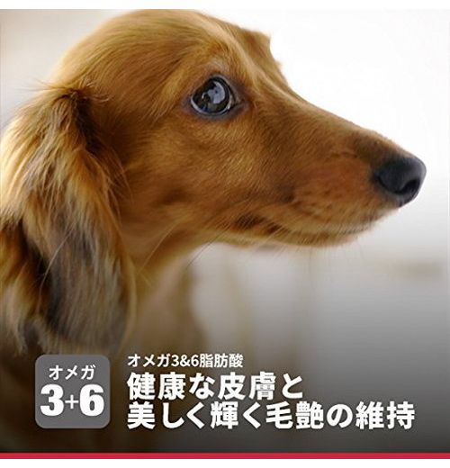 日本ヒルズ・コルゲート サイエンス・ダイエット アダルト 小型犬用 成犬用 1.5kg
