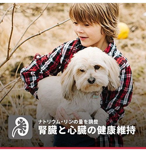 日本ヒルズ・コルゲート サイエンス・ダイエット シニア 小型犬用 高齢犬用 1.5kg