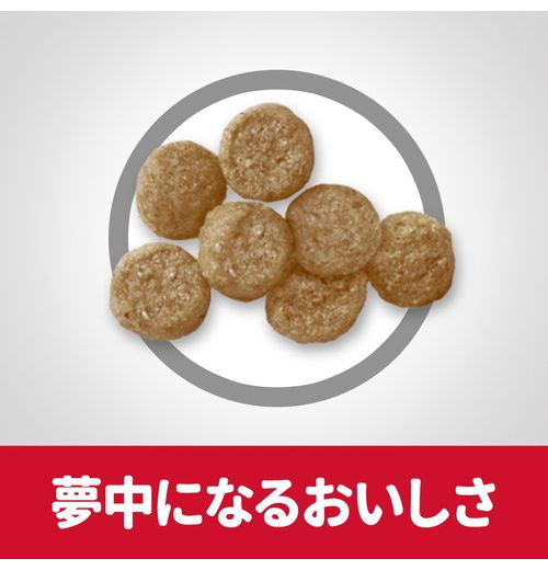 日本ヒルズ・コルゲート サイエンス・ダイエット シニアライト 小型犬用 肥満傾向の高齢犬用 1.5kg