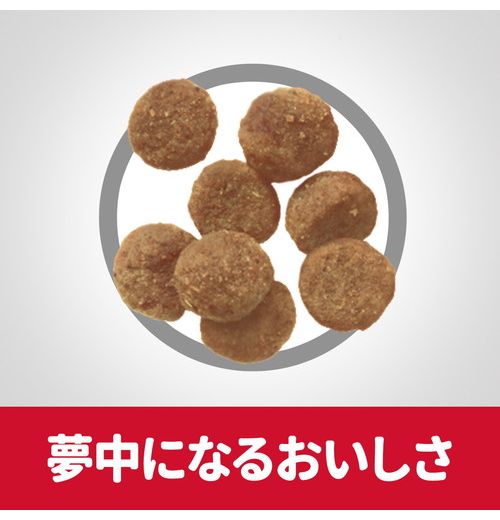 日本ヒルズ・コルゲート サイエンス・ダイエット 敏感なお腹と皮膚の健康サポート 小型犬用 1.3kg