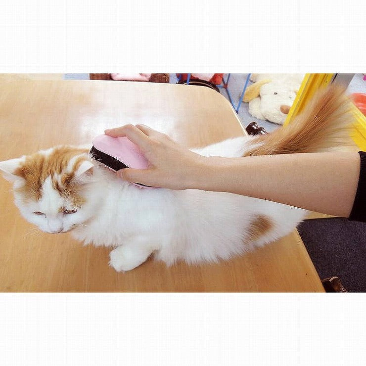 ペッツルート フルーツ村のきもちいいラバーブラシ
