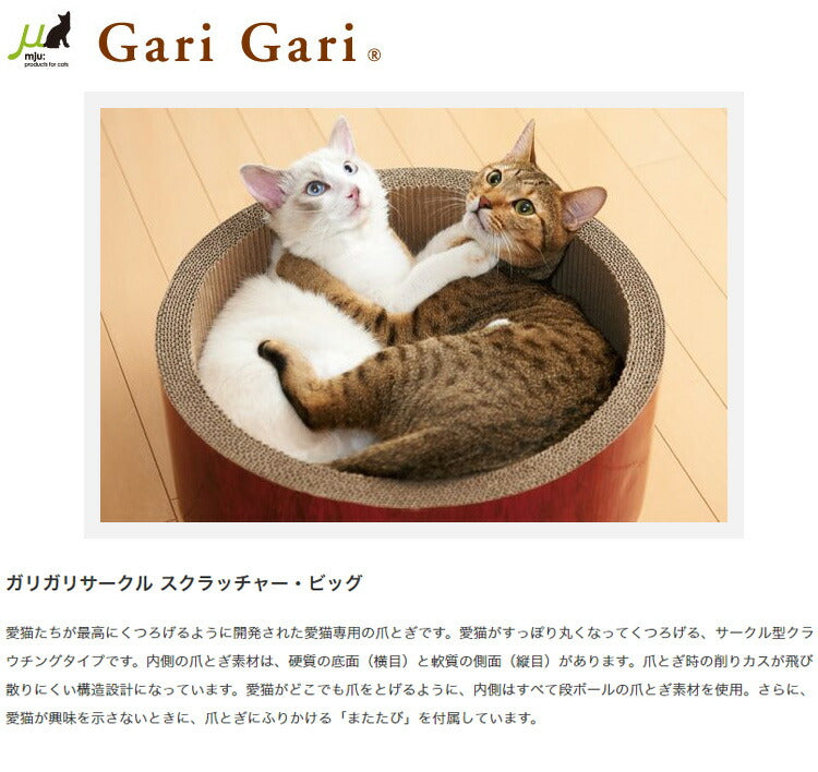 エイムクリエイツ ガリガリサークル スクラッチャー ビッグ