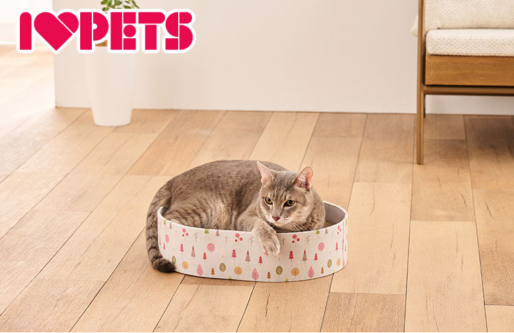 ボンビアルコン 猫のツメトギ ねこたま フォレスト 3枚付き 両面使える 爪とぎ 猫用爪とぎ 猫の爪とぎ ベッド キャットベッド 猫用ベッド