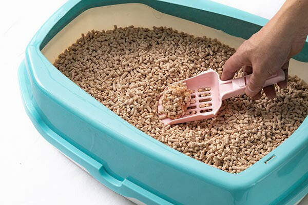 【5個セット】 コーチョー 猫砂 ネオ砂 ヒノキ 12L 日本製 瞬間吸収 消臭 脱臭 固まる 流せる トイレに流せる 燃やせる ねこ砂 ねこトイレ トイレ用品 猫 猫用品 KOCHO ケース販売 まとめ売り