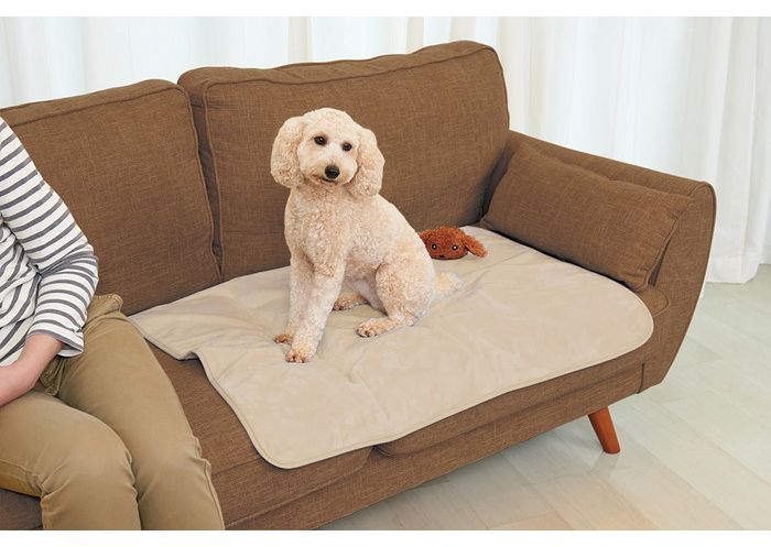 マルカン GONTA CLUB 洗える防水シーツ ワイド ベージュ