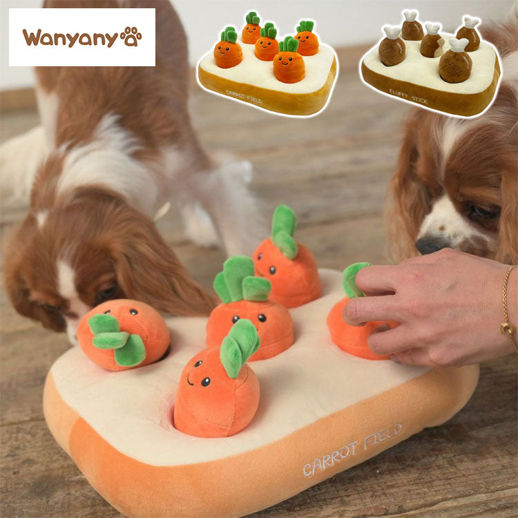 wanyanya ノーズワーク わんパクっ! にんじん畑