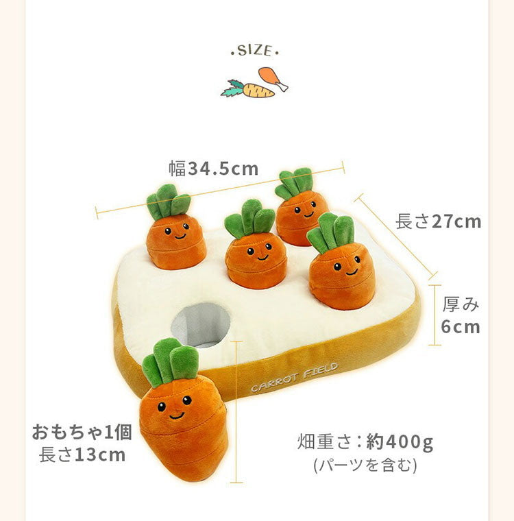 wanyanya ノーズワーク わんパクっ! にんじん畑