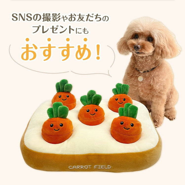 wanyanya ノーズワーク わんパクっ! にんじん畑