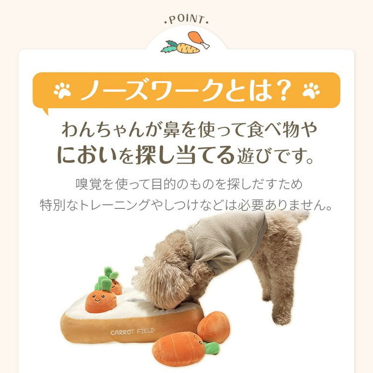 wanyanya ノーズワーク わんパクっ! にんじん畑