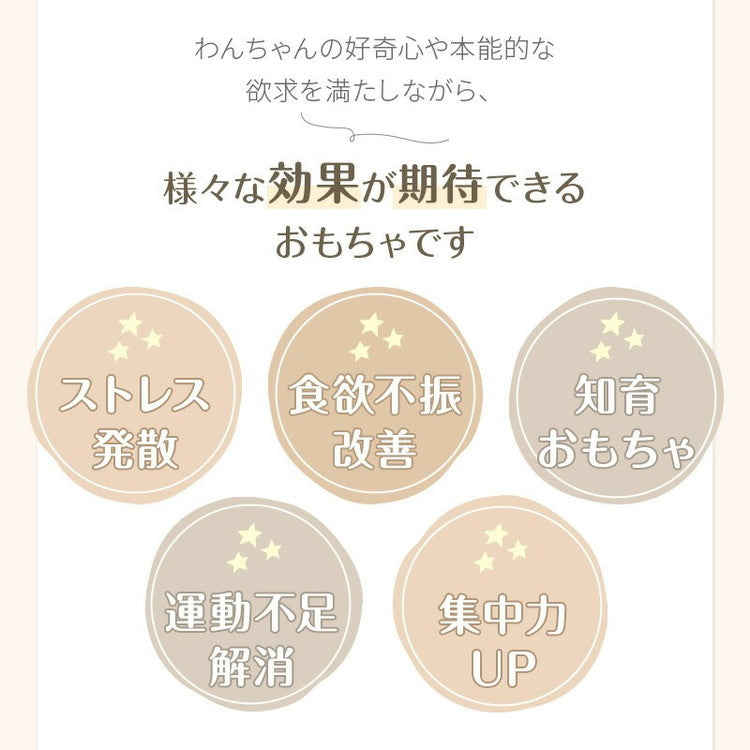 wanyanya ノーズワーク わんパクっ! にんじん畑