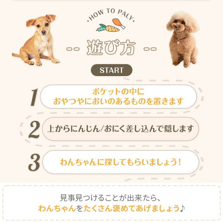 wanyanya ノーズワーク わんパクっ! にんじん畑