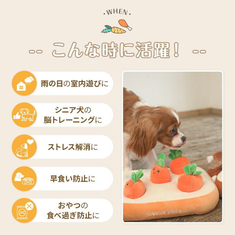 wanyanya ノーズワーク わんパクっ! にんじん畑