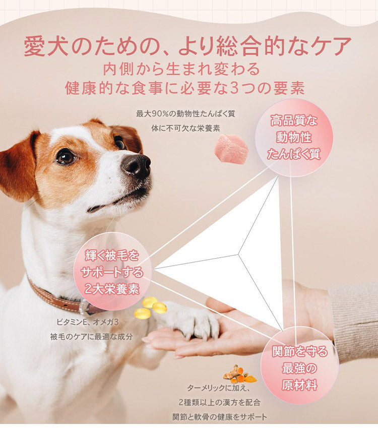 CHARM チャーム アダルトドッグ 5.4kg 犬用 いぬ用 ドッグフード ペットフード
