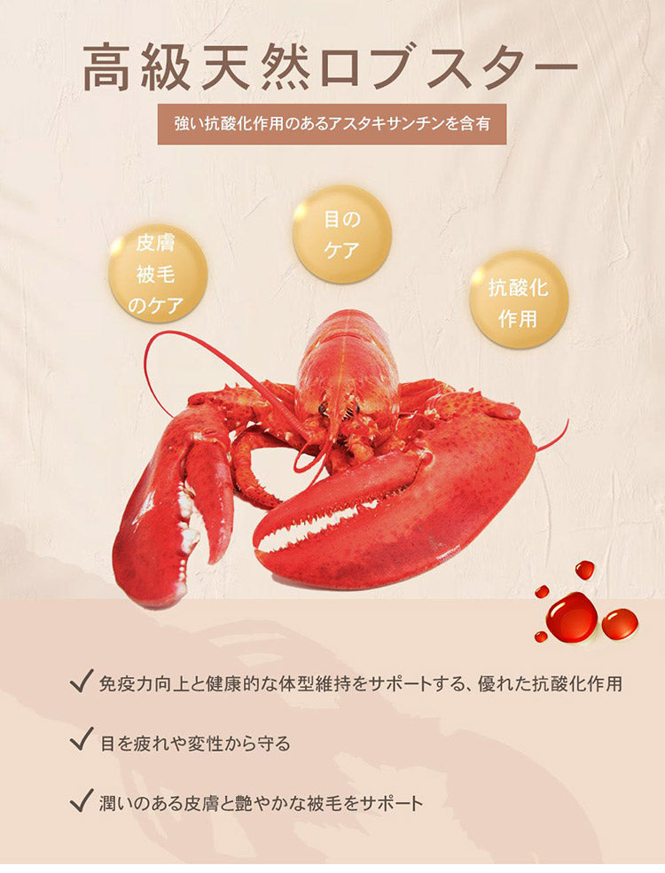 CHARM チャーム サーフ&ターフドッグ 1kg 犬用 いぬ用 ドッグフード ペットフード