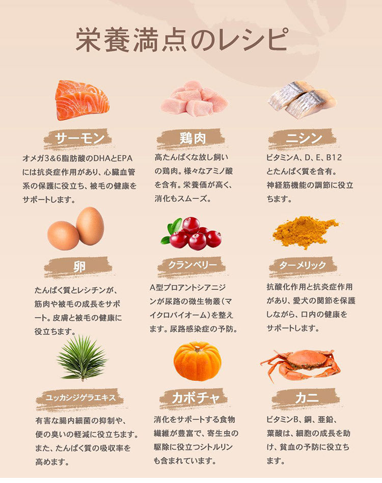 CHARM チャーム サーフ&ターフドッグ 1kg 犬用 いぬ用 ドッグフード ペットフード