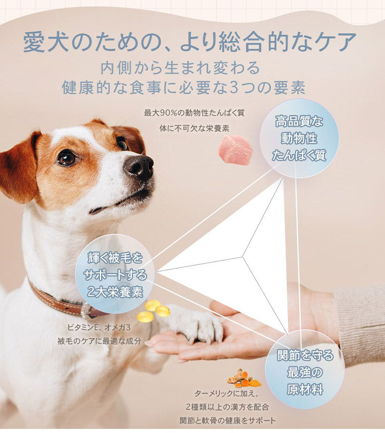 CHARM チャーム サーフ&ターフドッグ 1kg 犬用 いぬ用 ドッグフード ペットフード