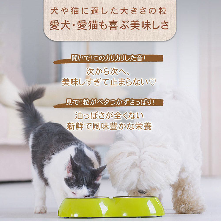 CHARM チャーム サーフ&ターフドッグ 1kg 犬用 いぬ用 ドッグフード ペットフード